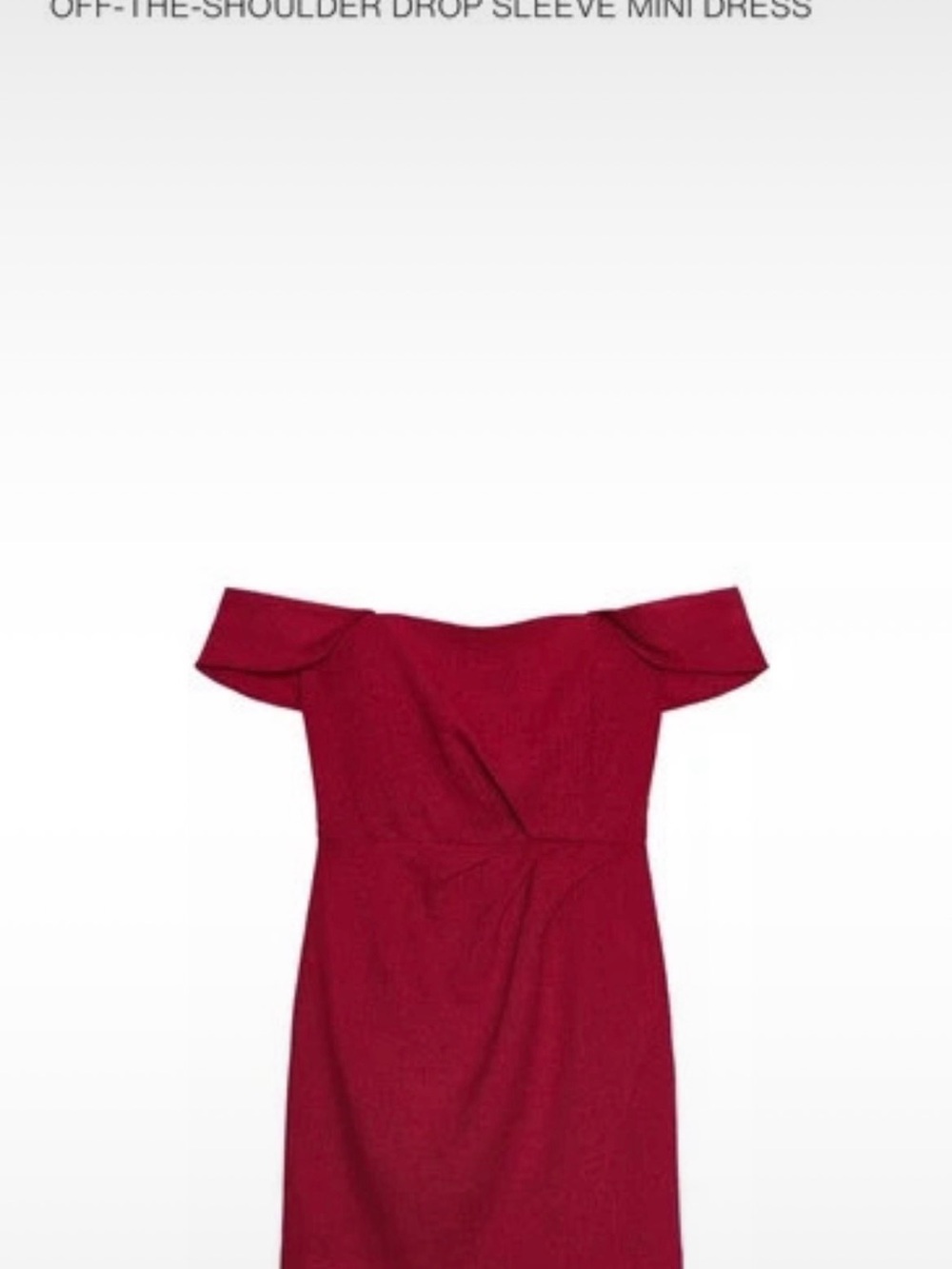 Zara Off-the-Shoulder Burgundy Mini Dress